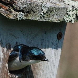 5634526557_1bbb26f024