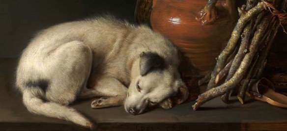 Gerrit Dou (1613–1675), Sleeping Dog (detail), 1650. Oil on panel, 6 ½ x 8 ½ inches. The Rose-Marie and Eijk van Otterloo Collection. Image courtesy Museum of Fine Arts, Boston